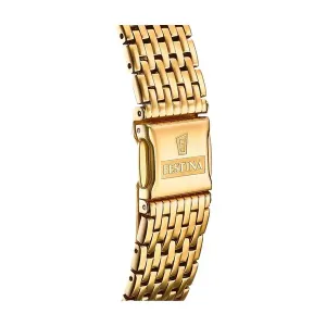 Мъжки часовник FESTINA F20020/2