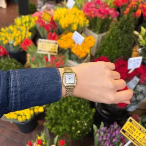 Дамски часовник CLUSE Gracieuse CW11826